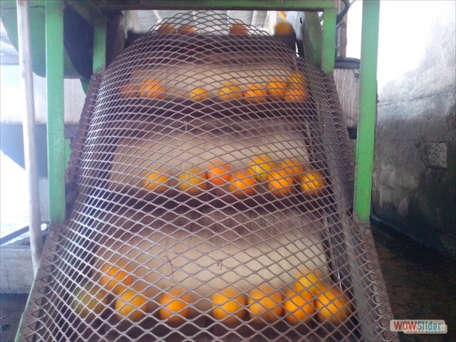 Elevador de Alimentación